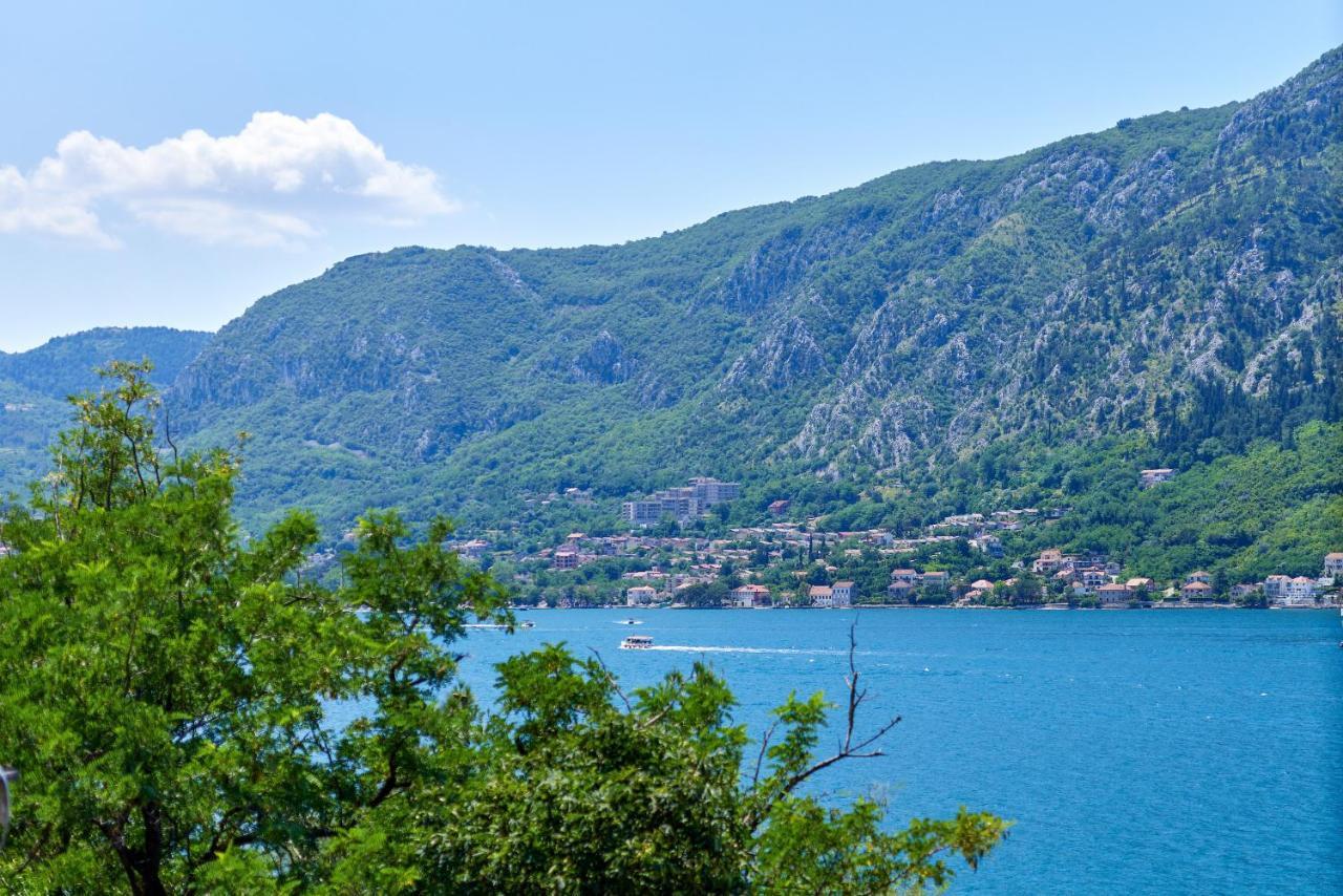 Apartment Plagenti With Sea View Kotor Eksteriør bilde